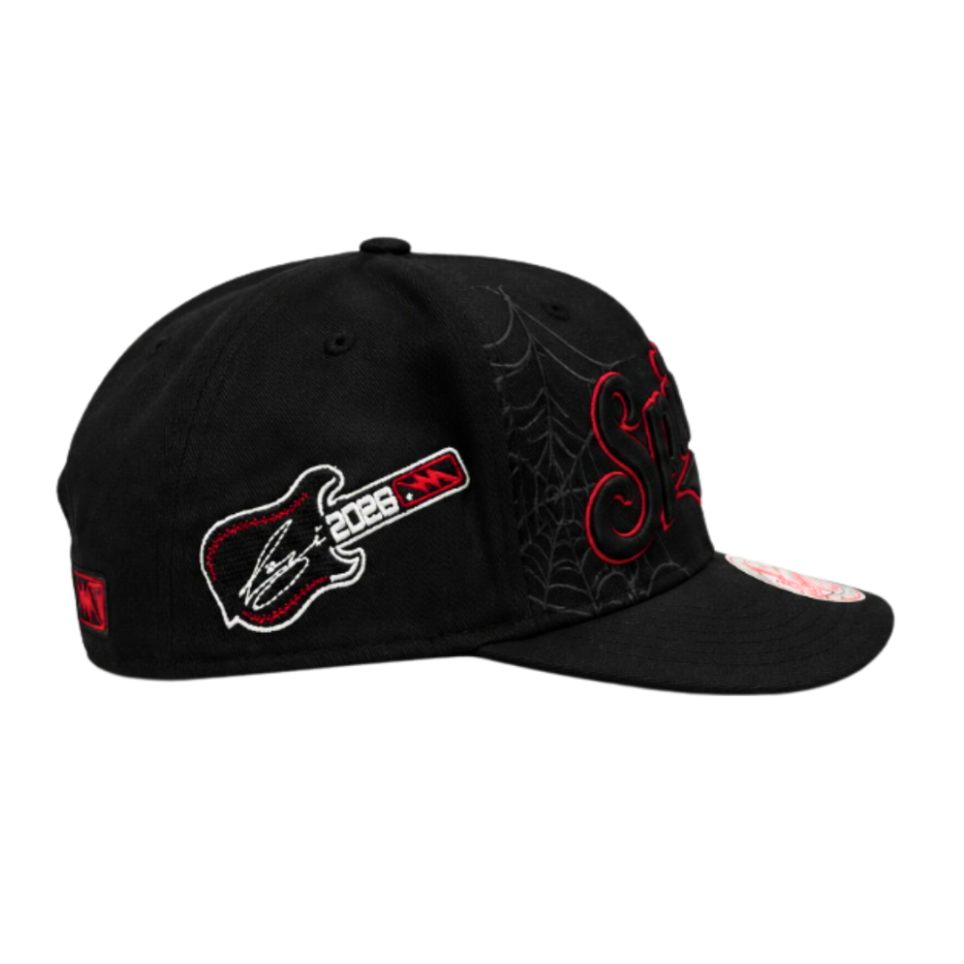 SPIDERS HAT